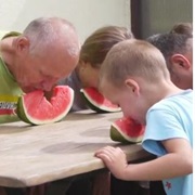 No Hands Whatermelon Eating Race