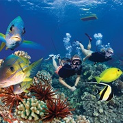 Snorkelling in Hawaii, USA