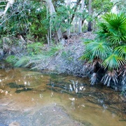Wallarah National Park (NSW)