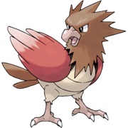 Spearow