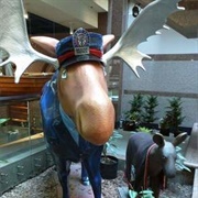 The Moose at the Toronto Police Museum, Toronto, Ontario