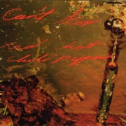 Can't Stop - Red Hot Chili Peppers