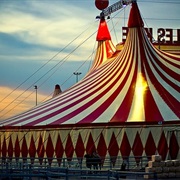 Visit a Circus