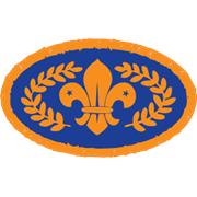 Chief Scout's Bronze Award
