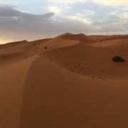 Slept in the Desert