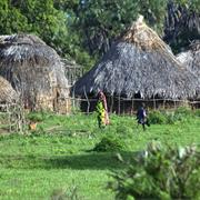 Sacred Mijikenda Kaya Forests