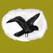 Thee Silver Mt. Zion Memorial Orchestra & Tra-La-La Band - Horses in the Sky