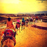 Sunset Camel Ride in India