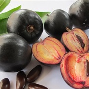 Black Apple (Pouteria Australis)