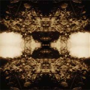 Teargas & Plateglass - Black Triage