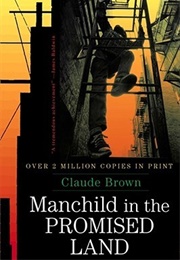 Manchild in the Promised Land (Claude Brown)