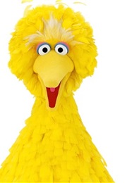 Big Bird Meets Santa Claus (Liza Alexander)