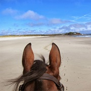 Ridden on the Beach
