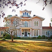 Coolmore Plantation