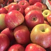 Howard's Apples Farm Market