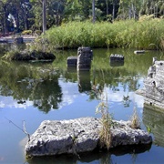 Jardin Botanico Nacional Dr. Rafael Ma Moscosoeoe