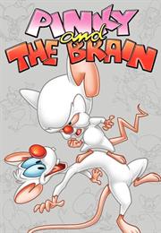 Steven Spielberg Presents Pinky and the Brain