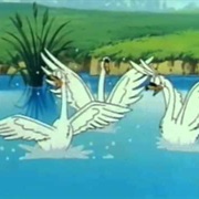 Swans (Ox Tales)