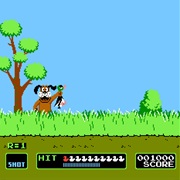 Duck Hunt