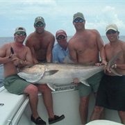 Deep Sea Fishing Trip