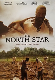 The North Star (2016)