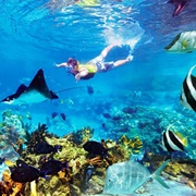 Snorkeling in Sipadan, Malaysia