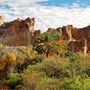 Boyce Thompson Arboretum State Park, Arizona