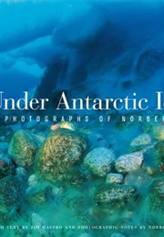 Under Antarctic Ice (Norbert Wu)