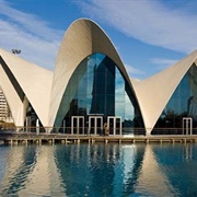 Oceanografico, Valencia