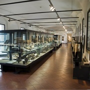 Musei Civici Agli Eremitani, Padua