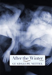 After the Winter (Guadalupe Nettel)