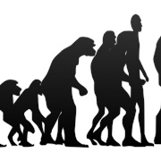 Evolution