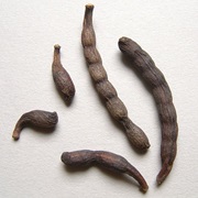 Grains of Selim (Xylopia Aethiopica)