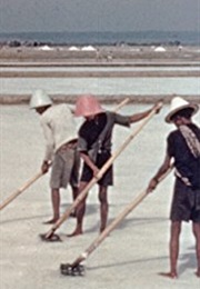 High Stakes in the East (1942) (1942)