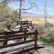 Dayton State Park, Nevada