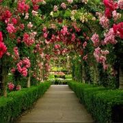 Bask in the Beauty of Butchart Gardens, BC