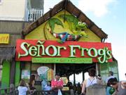 Senor Frogs