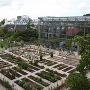Hortus Botanicus Leiden