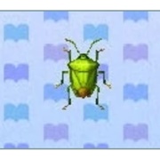 Stinkbug