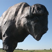 Frontier Village and the National Buffalo Museum