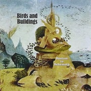 Birds and Buildings - Bantam to Behemoth
