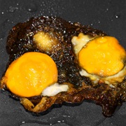 Burnt Egg