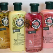 Herbal Essence Shampoo