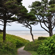 Governor Patterson Memorial State Recreation Site, Oregon