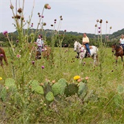 Hill Country State Natural Area, Texas