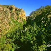 Kroombit Tops National Park (QLD)