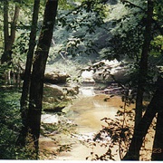 William B. Bankhead National Forest