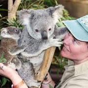 Cuddle a Koala at Lone Pine Koala Sanctuary in Brisbane.