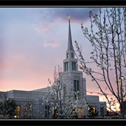 The Gila Valley Arizona L.D.S. Temple