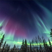 See the Northern Lights